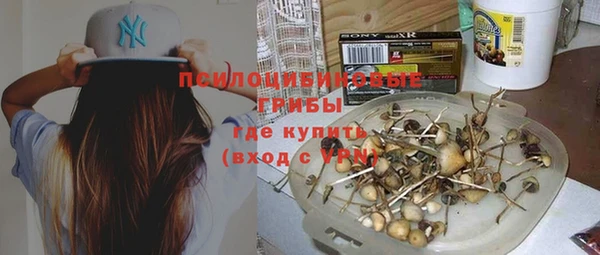 каннабис Алзамай