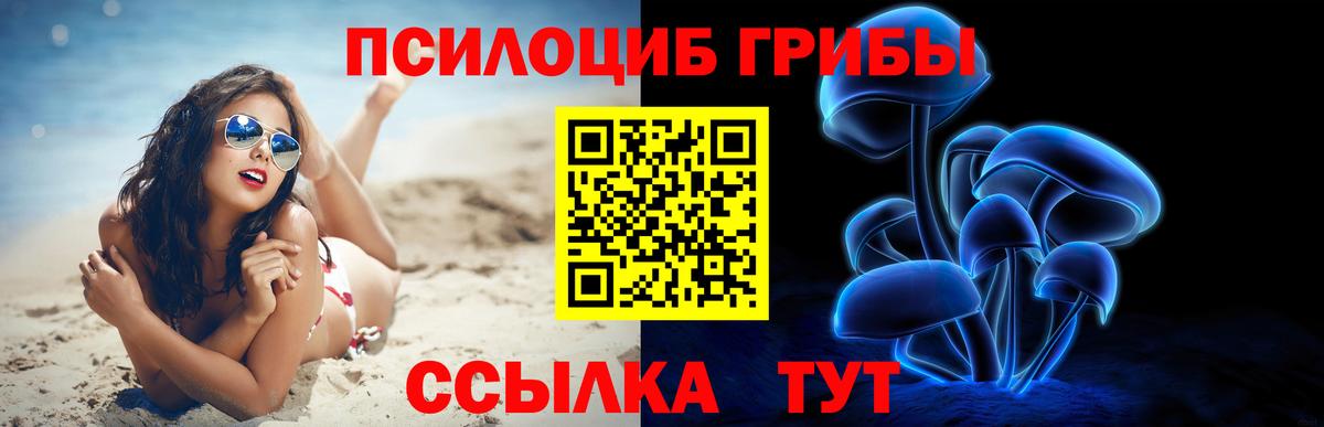 Петровск  Псилоцибиновые грибы GOLDEN TEACHER  Псилоцибиновые грибы мицелий  Вход с VPN 